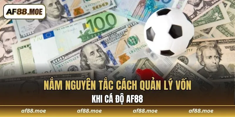 Nắm nguyên tắc cách quản lý vốn khi cá độ AF88